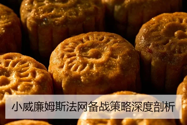 小威廉姆斯法网备战策略深度剖析
